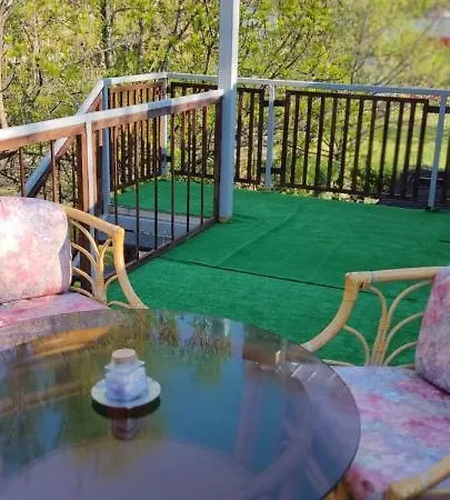 мансардна никол Vidin