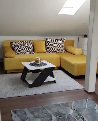 мансардна никол Vidin