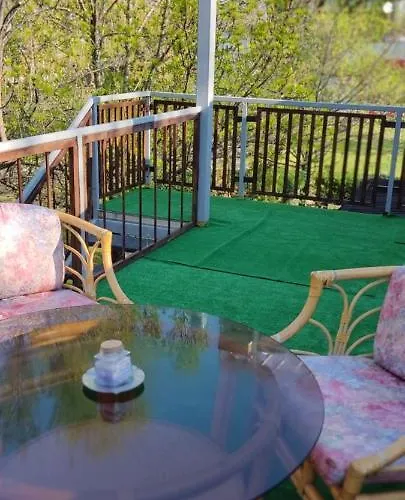 мансардна никол Vidin